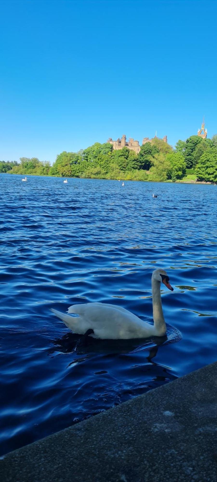 Stylish Home In Linlithgow With Free Parking Eksteriør billede